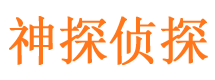 乐东私家调查公司